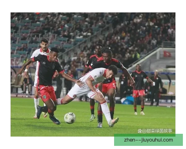纳米比亚力克突尼斯改写历史收获队史非洲杯首胜点燃全国激情与希望